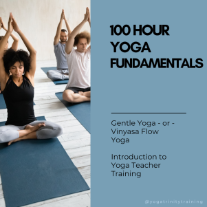 100 Hour Yoga Fundamentals Courses Gentle Yoga or Vinyasa Flow Yoga Intro courses