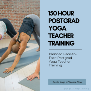 150 hour postgraduate yoga teacher training vinyasa flow or gentle yoga