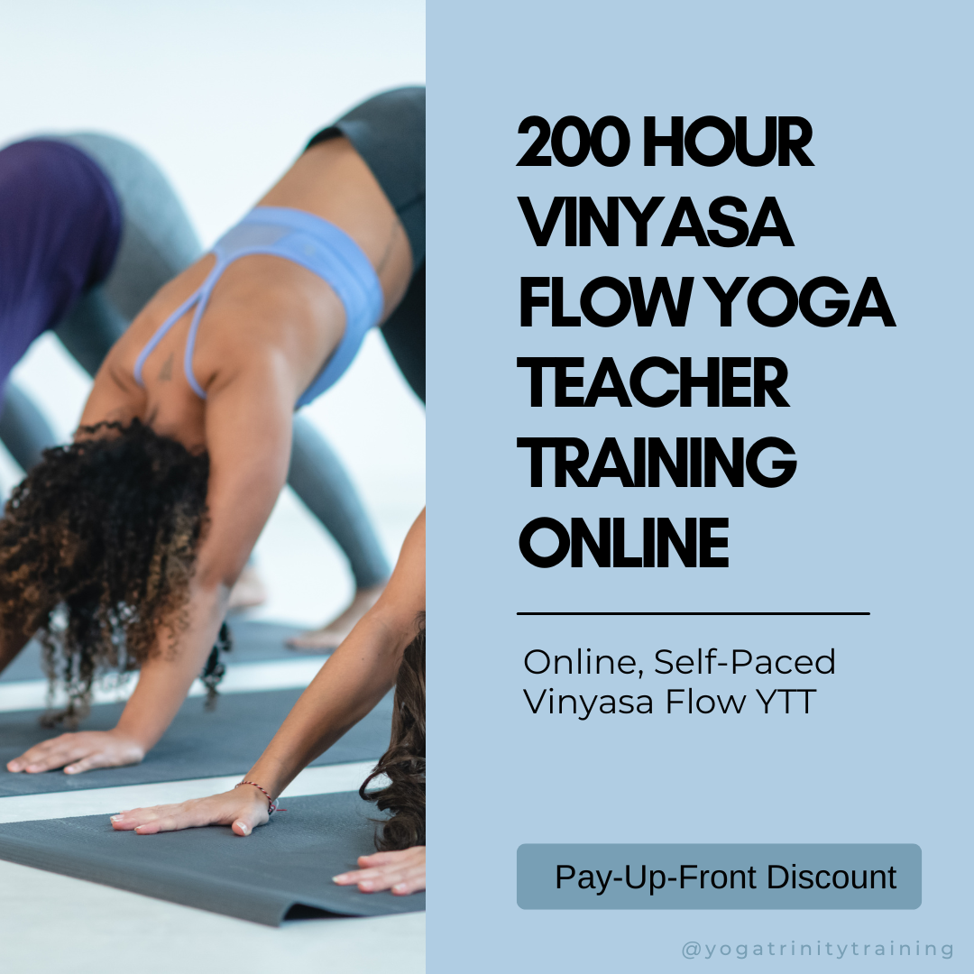 200 hour yoga teacher training online Vinyasa Flow yoga