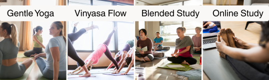 200 Hour Yoga Teacher Training choices Gentle Yoga Vinyasa Flow Yoga Blended Study Online Study