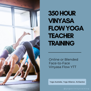 350 hour Vinyasa Flow yoga teacher training