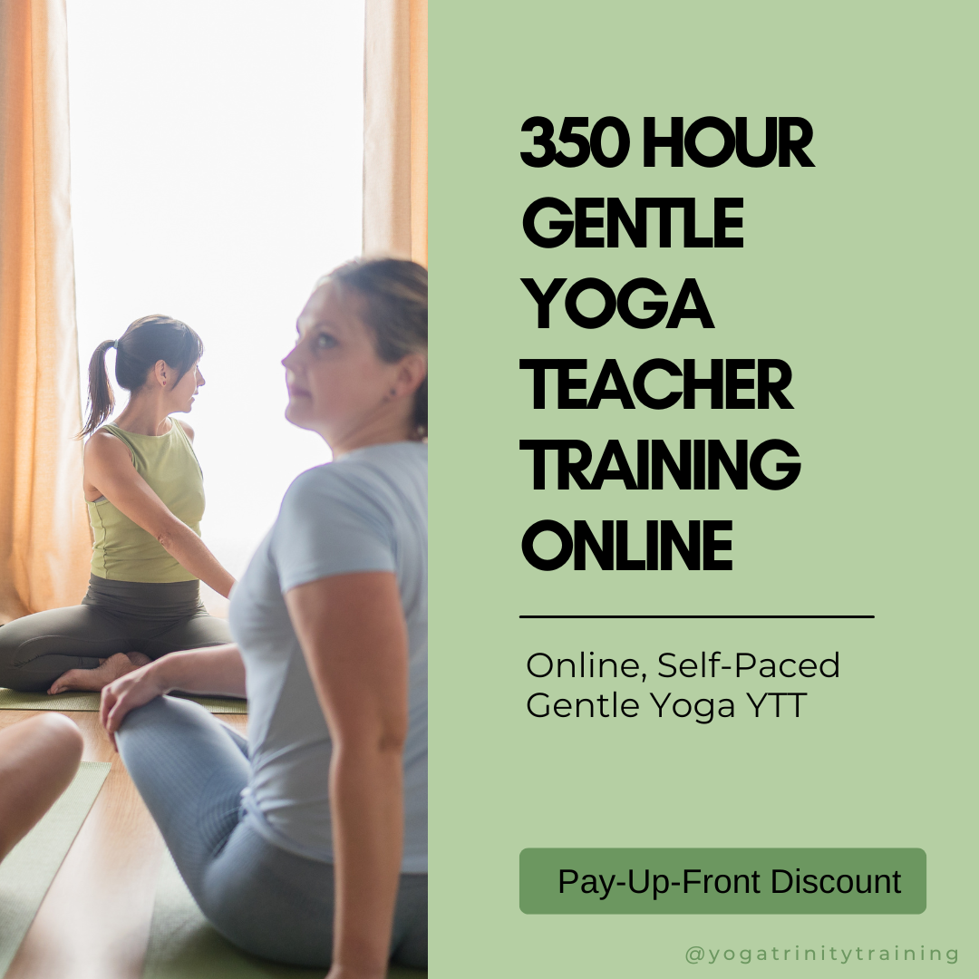 350 hour gentle yoga teacher training online pay-up-front discount