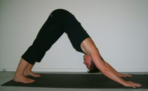 downward facing dog