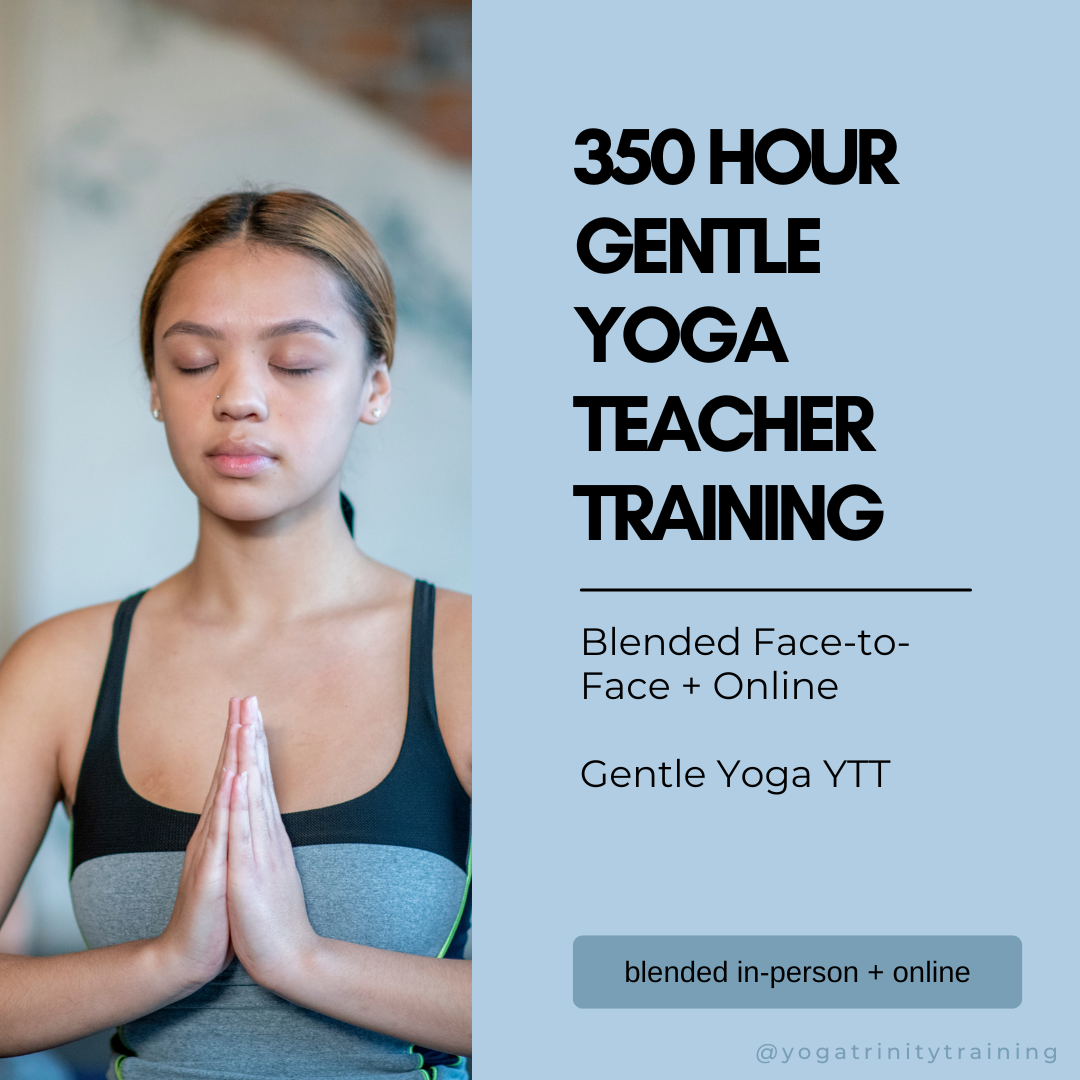 350 hour yoga teacher training canberra gentle yoga course