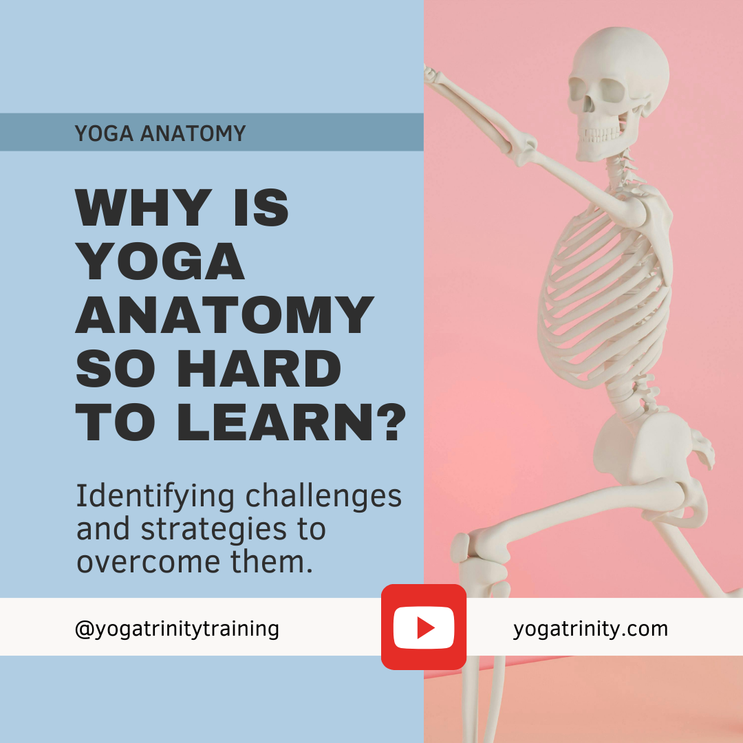 Why is yoga anatomy so hard to learn, and how can you make it more joyful?