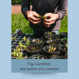 yogi gardener - new season still learning